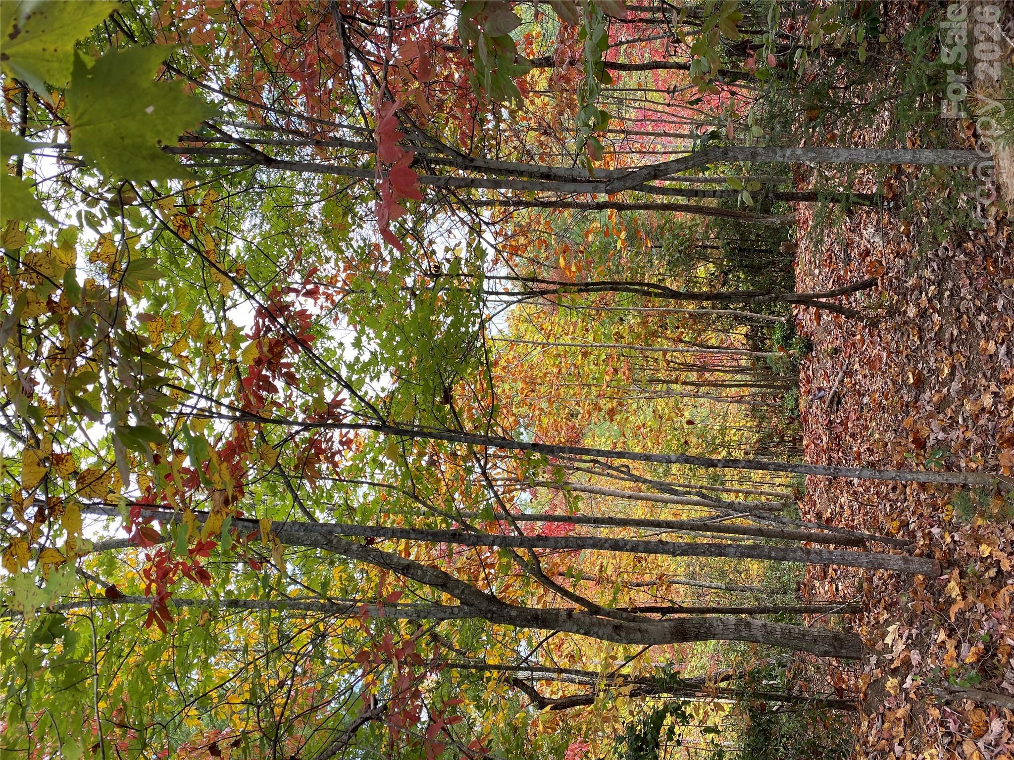Lot at 54 Winghaven Drive, Nebo, photo 8 of 13