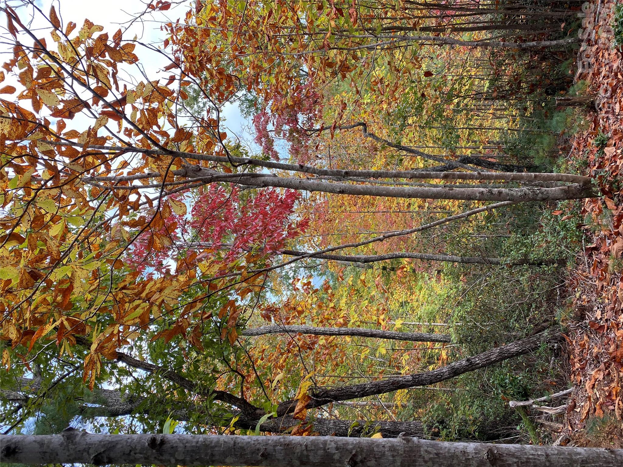 Lot at 54 Winghaven Drive, Nebo, photo 9 of 13