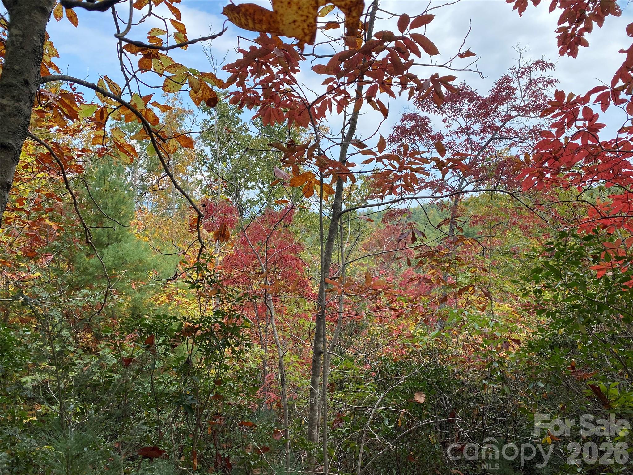 Lot at 54 Winghaven Drive, Nebo, photo 10 of 13