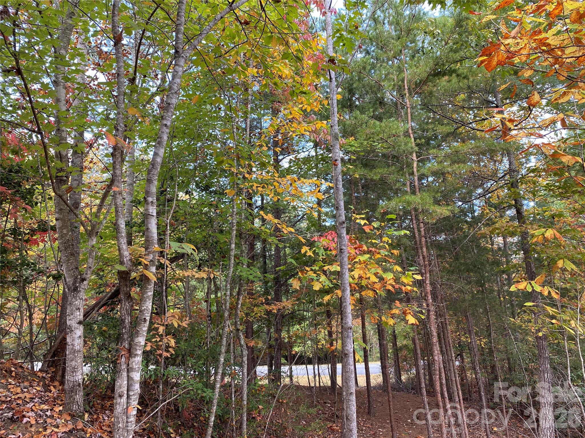 Lot at 54 Winghaven Drive, Nebo, photo 12 of 13