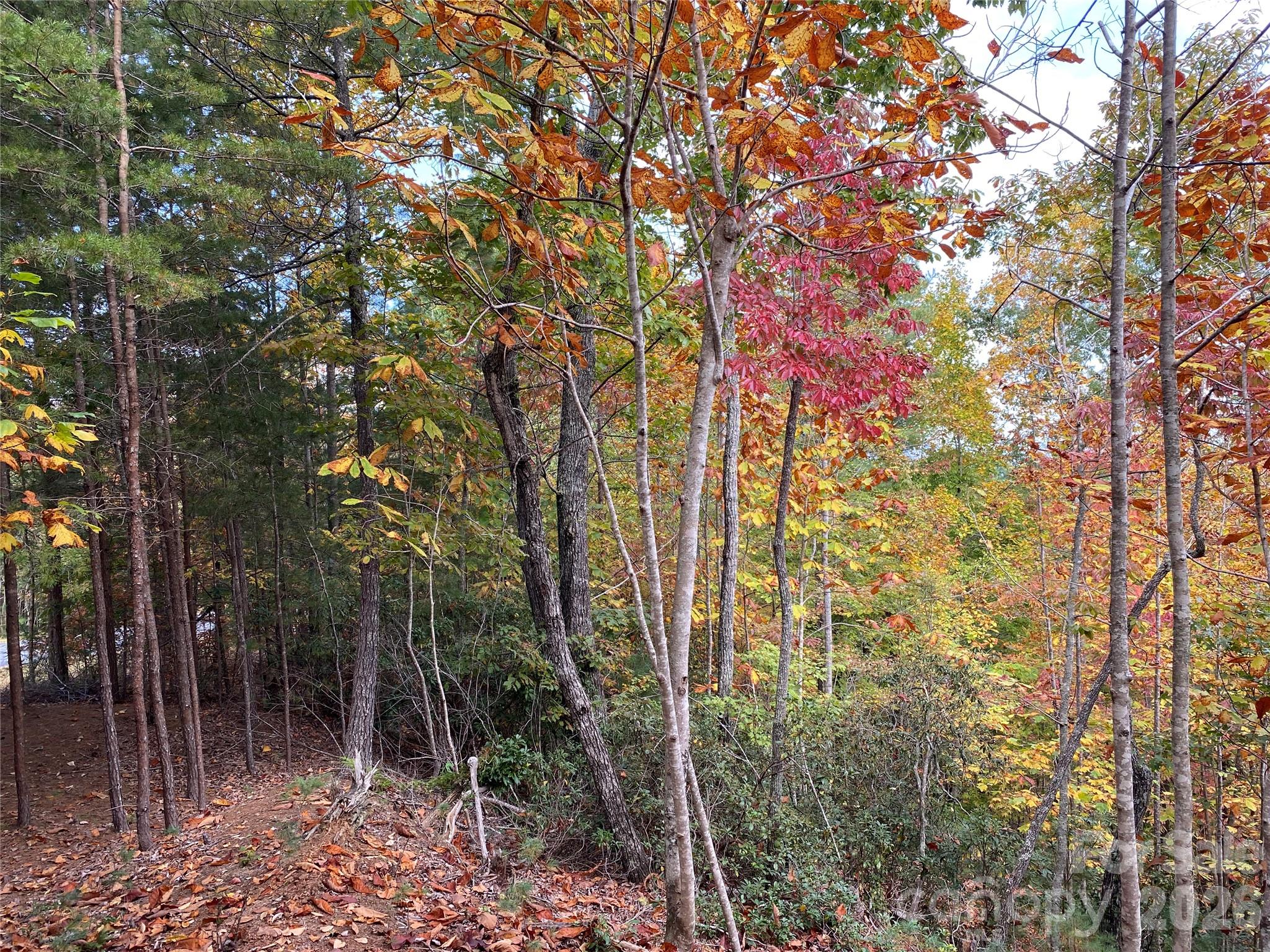 Lot at 54 Winghaven Drive, Nebo, photo 13 of 13