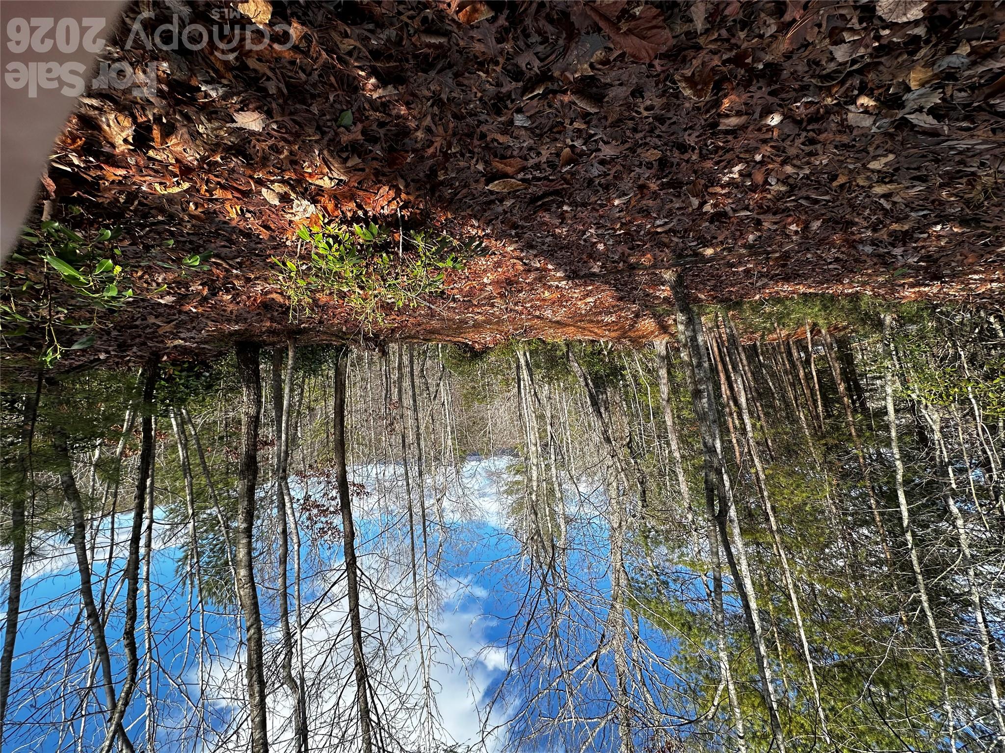 Lot at 54 Winghaven Drive, Nebo, photo 4 of 13
