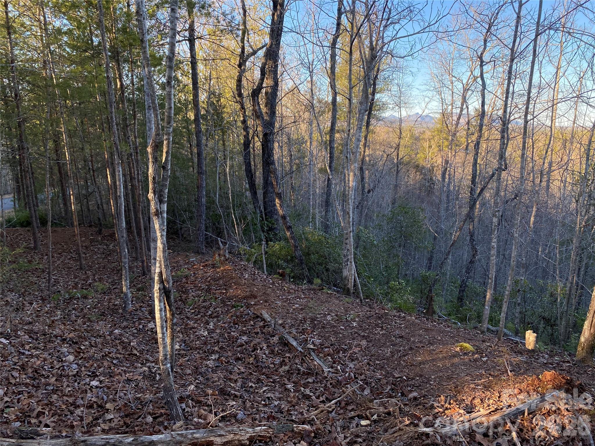 Lot at 54 Winghaven Drive, Nebo, photo 5 of 13