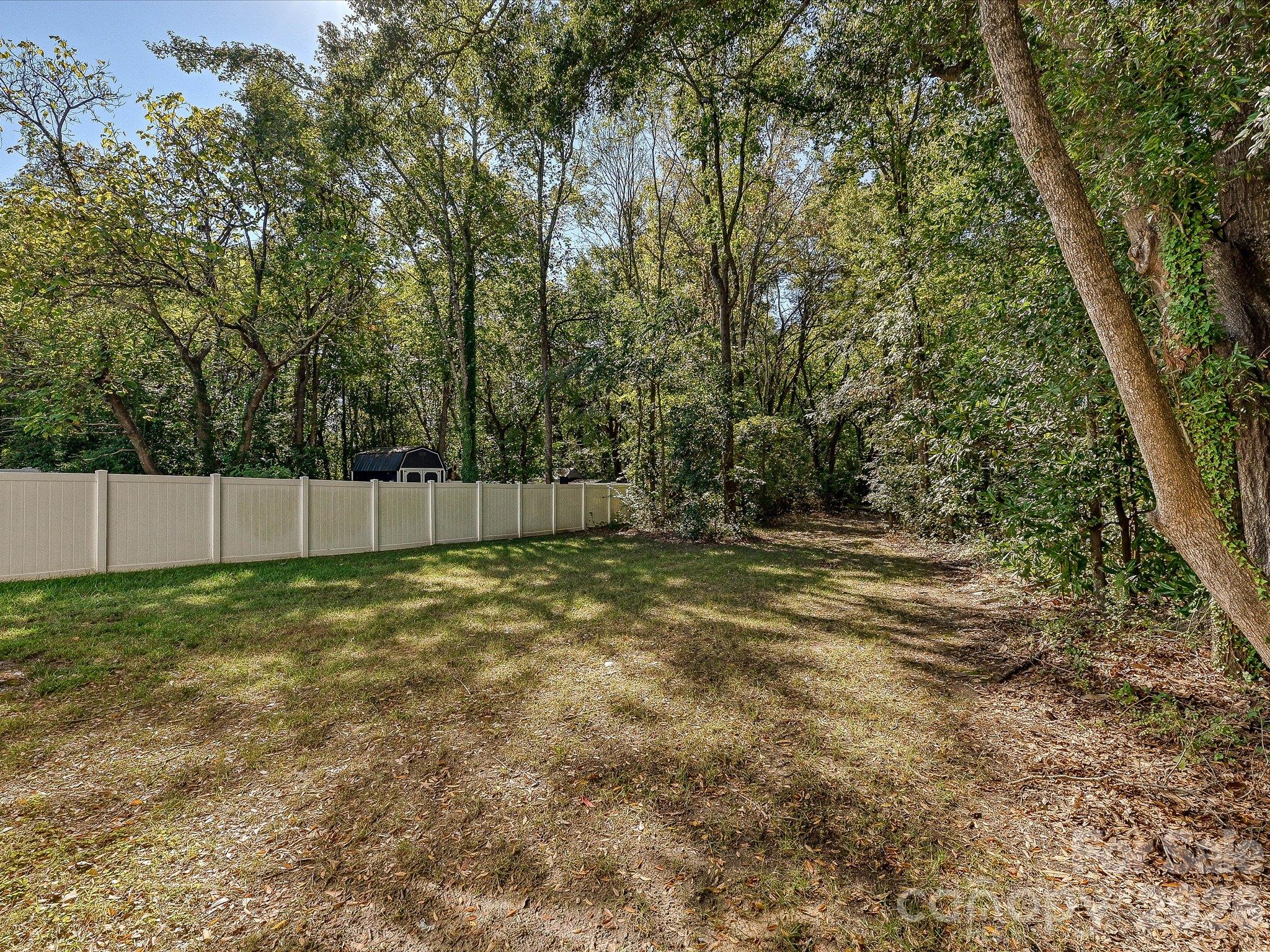 Large flat back yard - 914 Flint Street Extension, Rock Hill