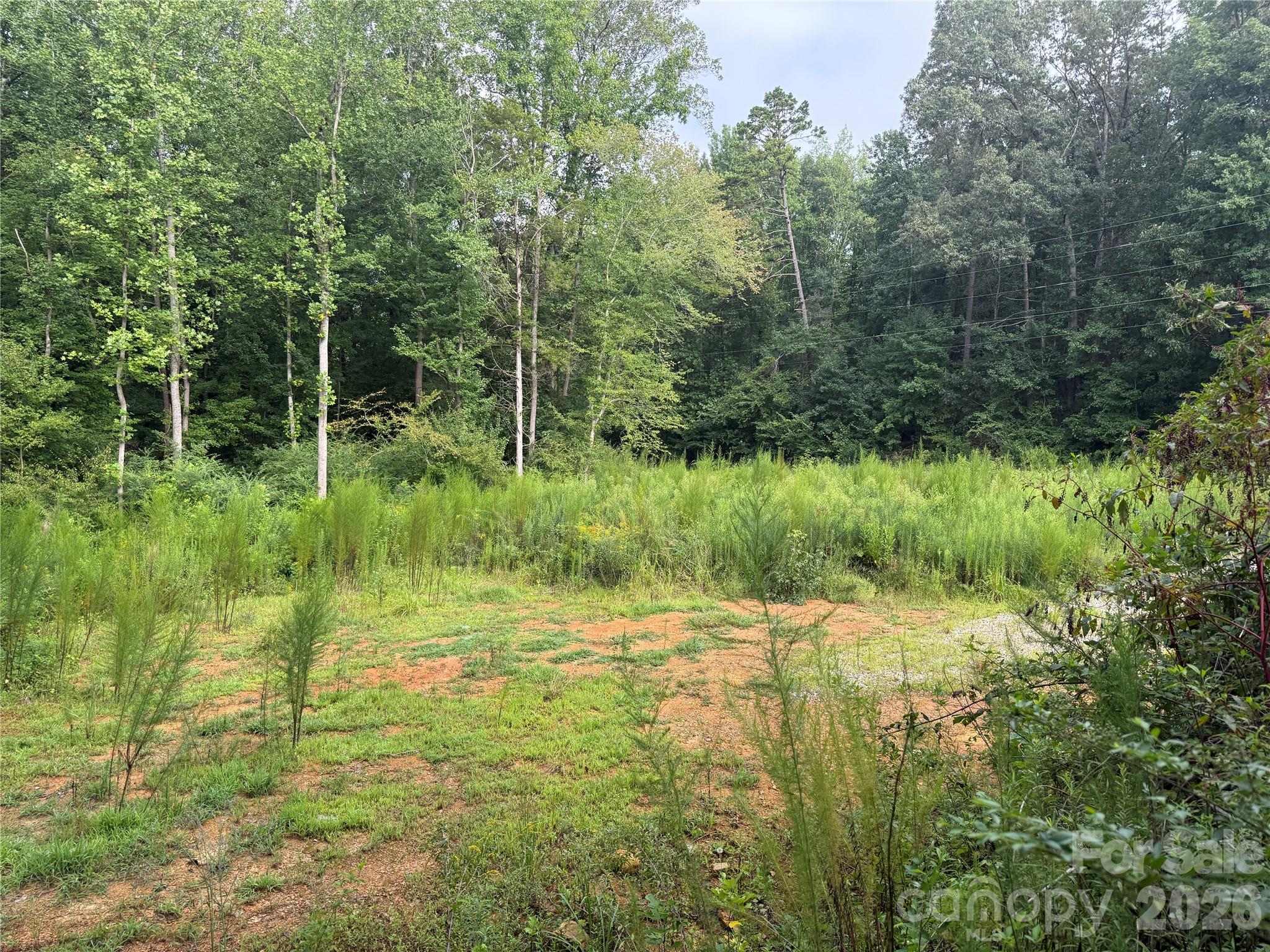 Acreage at TBD Sincerity Road, Monroe, photo 2 of 16