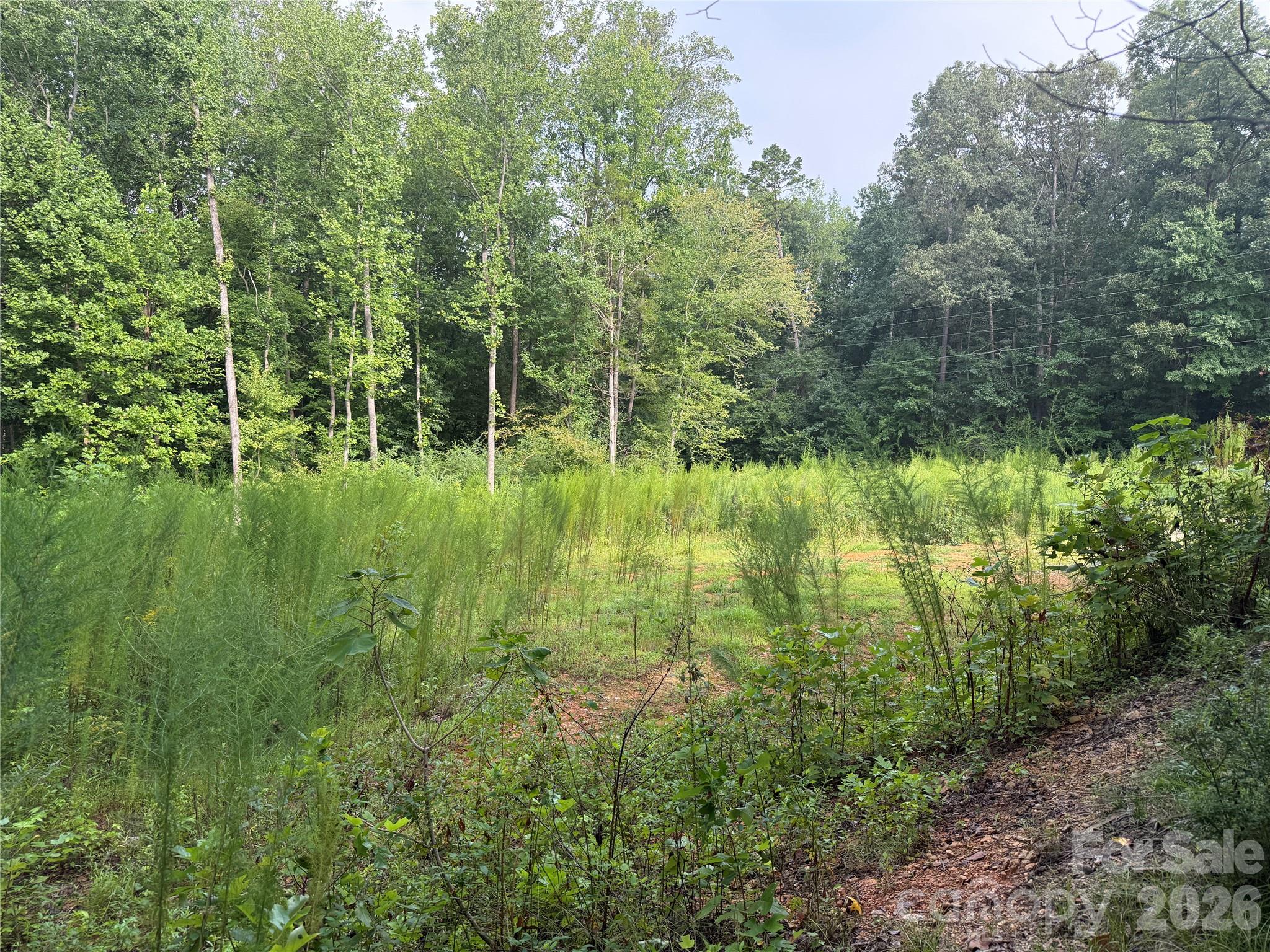 Acreage at TBD Sincerity Road, Monroe, photo 5 of 16
