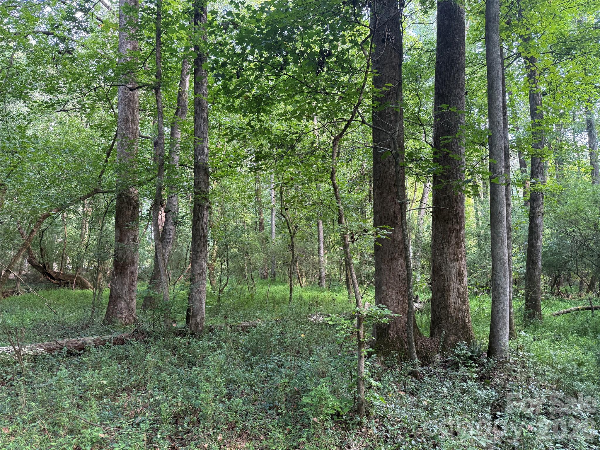 Acreage at TBD Sincerity Road, Monroe, photo 6 of 16