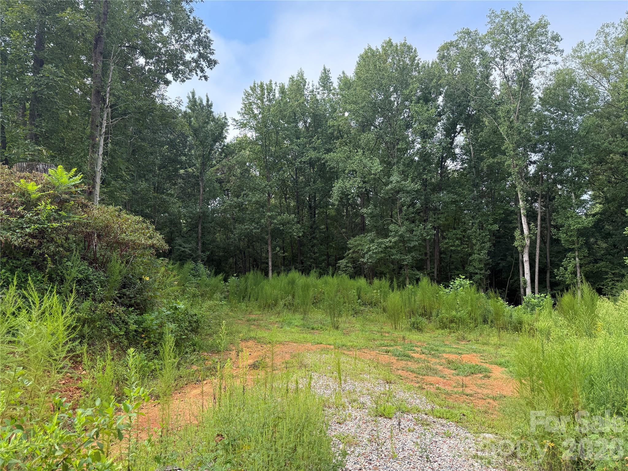 Acreage at TBD Sincerity Road, Monroe, photo 10 of 16