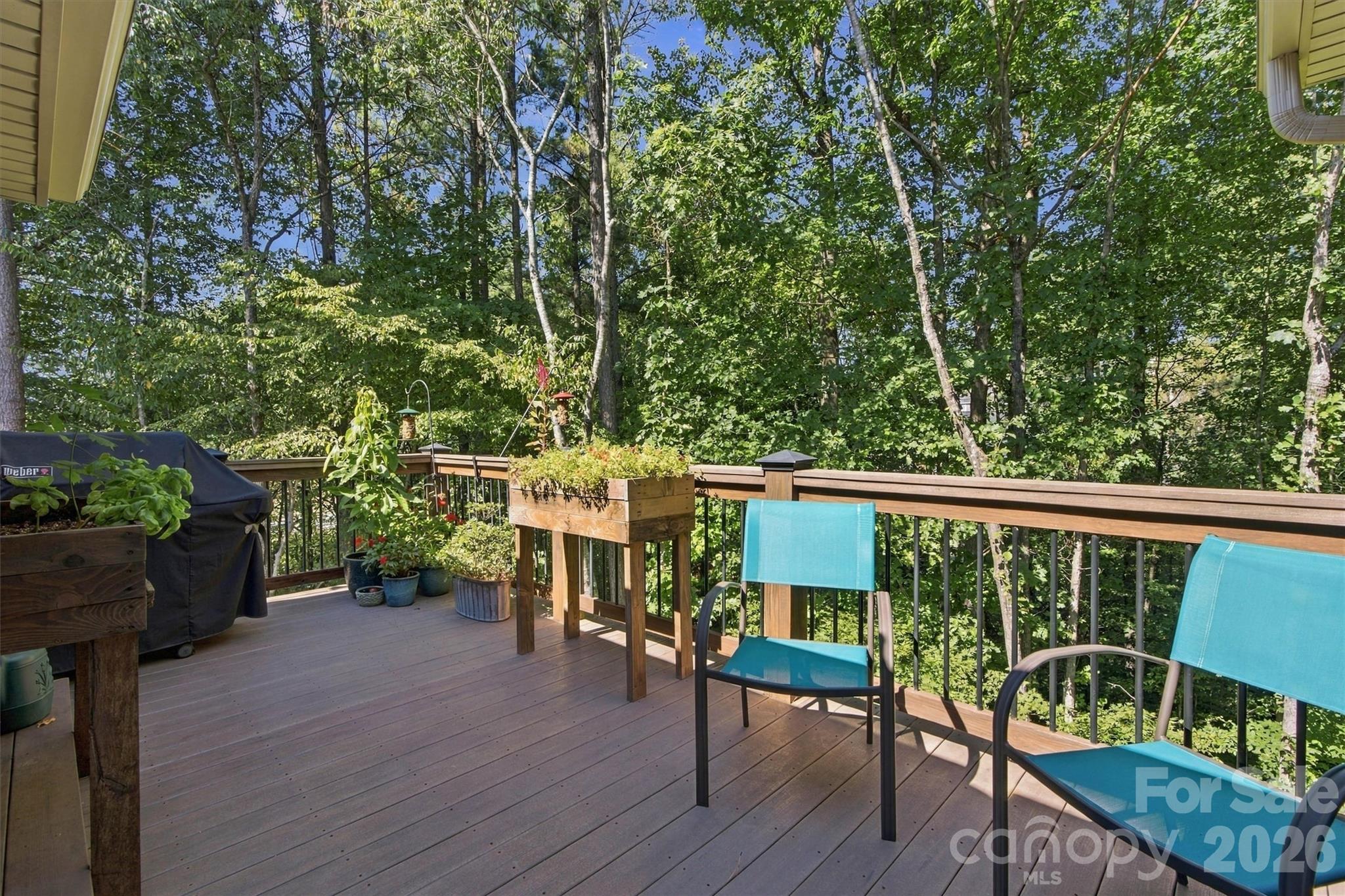 Single Family Residence at 7365 Thornblade Court, Denver, photo 29 of 38