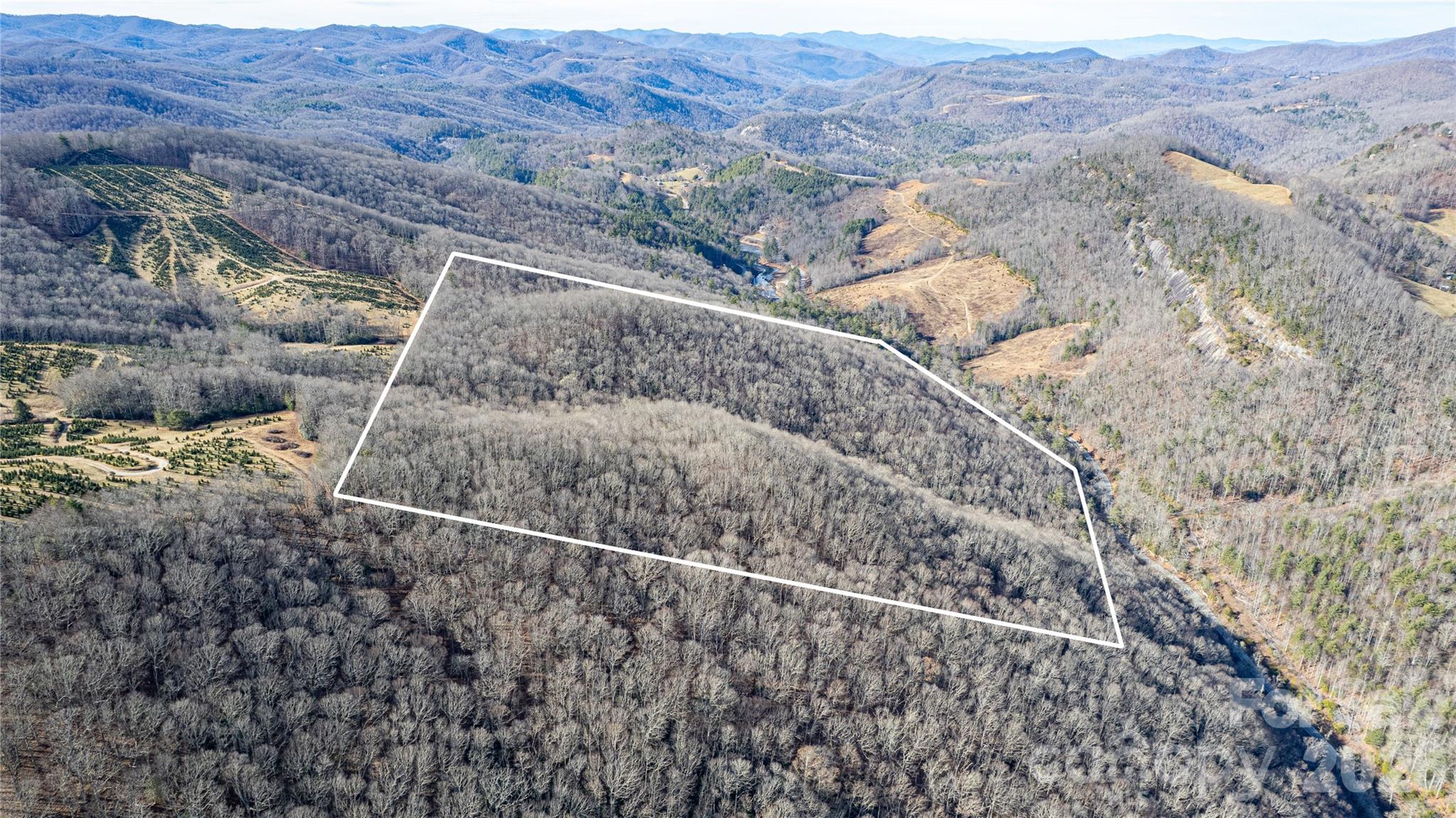Acreage at TBD Tannassee Creek Road, Tuckasegee, photo 16 of 64