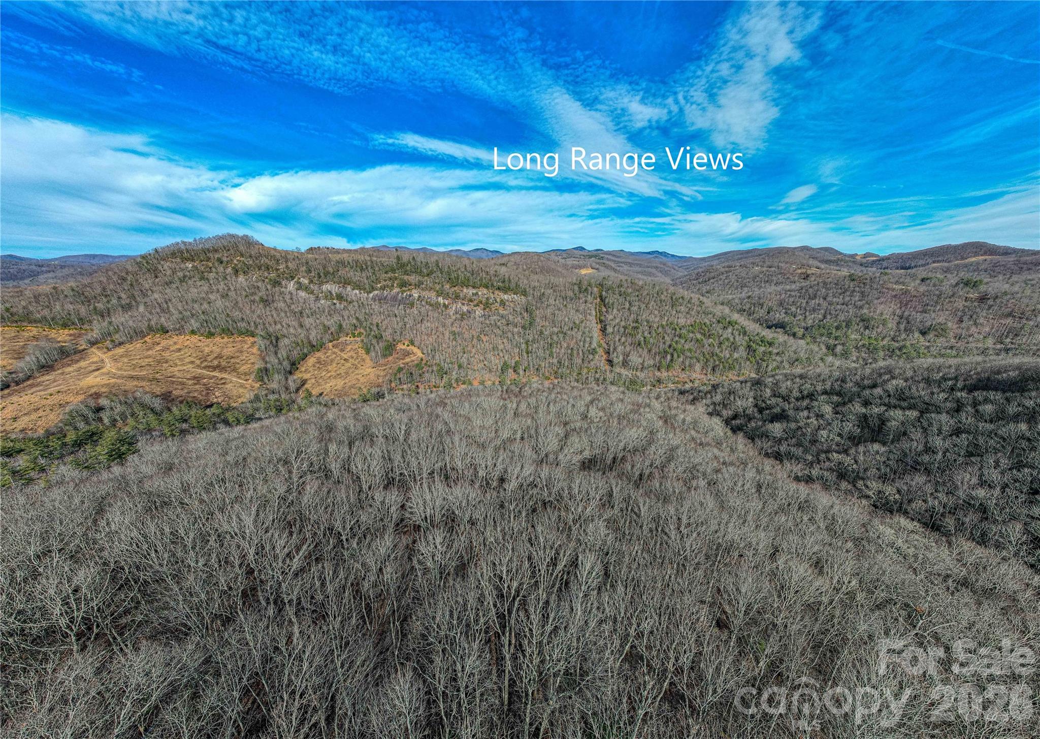 Acreage at TBD Tannassee Creek Road, Tuckasegee, photo 22 of 64
