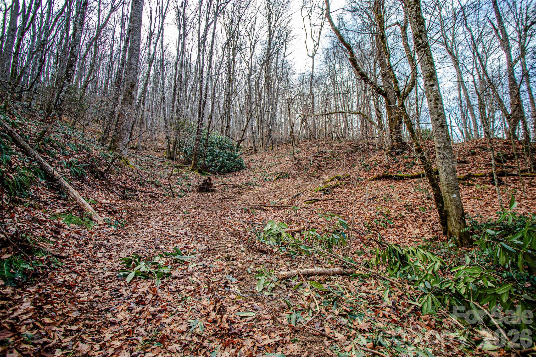 Acreage at TBD Tannassee Creek Road, Tuckasegee, photo 8 of 64