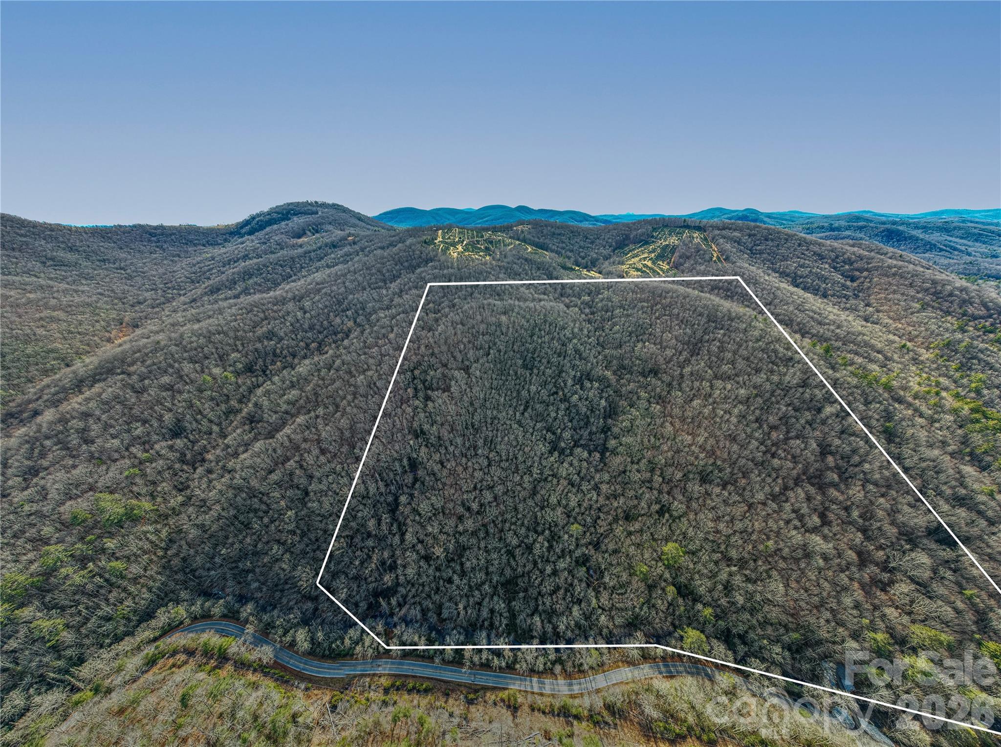 Acreage at TBD Tannassee Creek Road, Tuckasegee, photo 6 of 64
