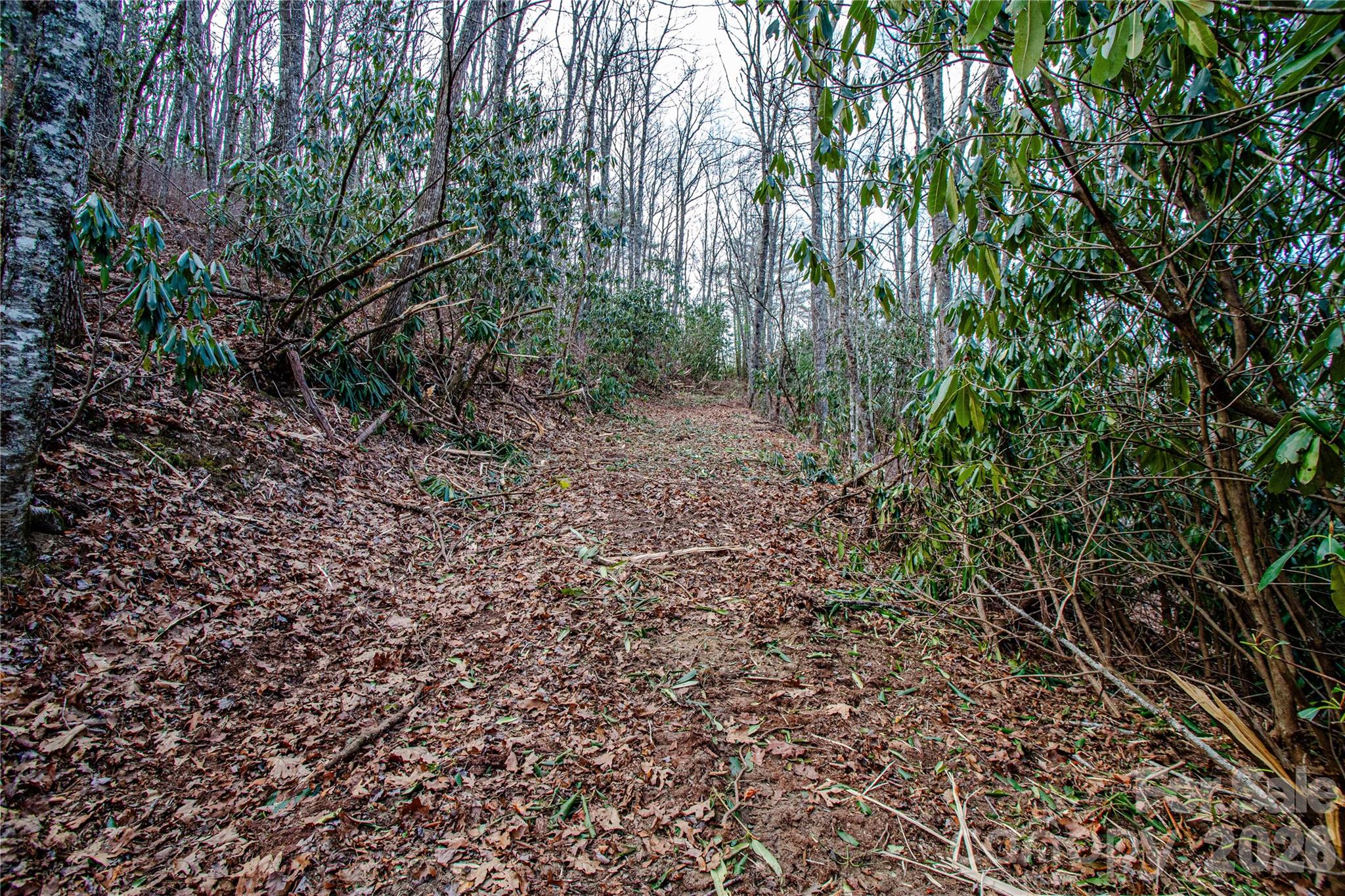 Acreage at TBD Tannassee Creek Road, Tuckasegee, photo 34 of 64