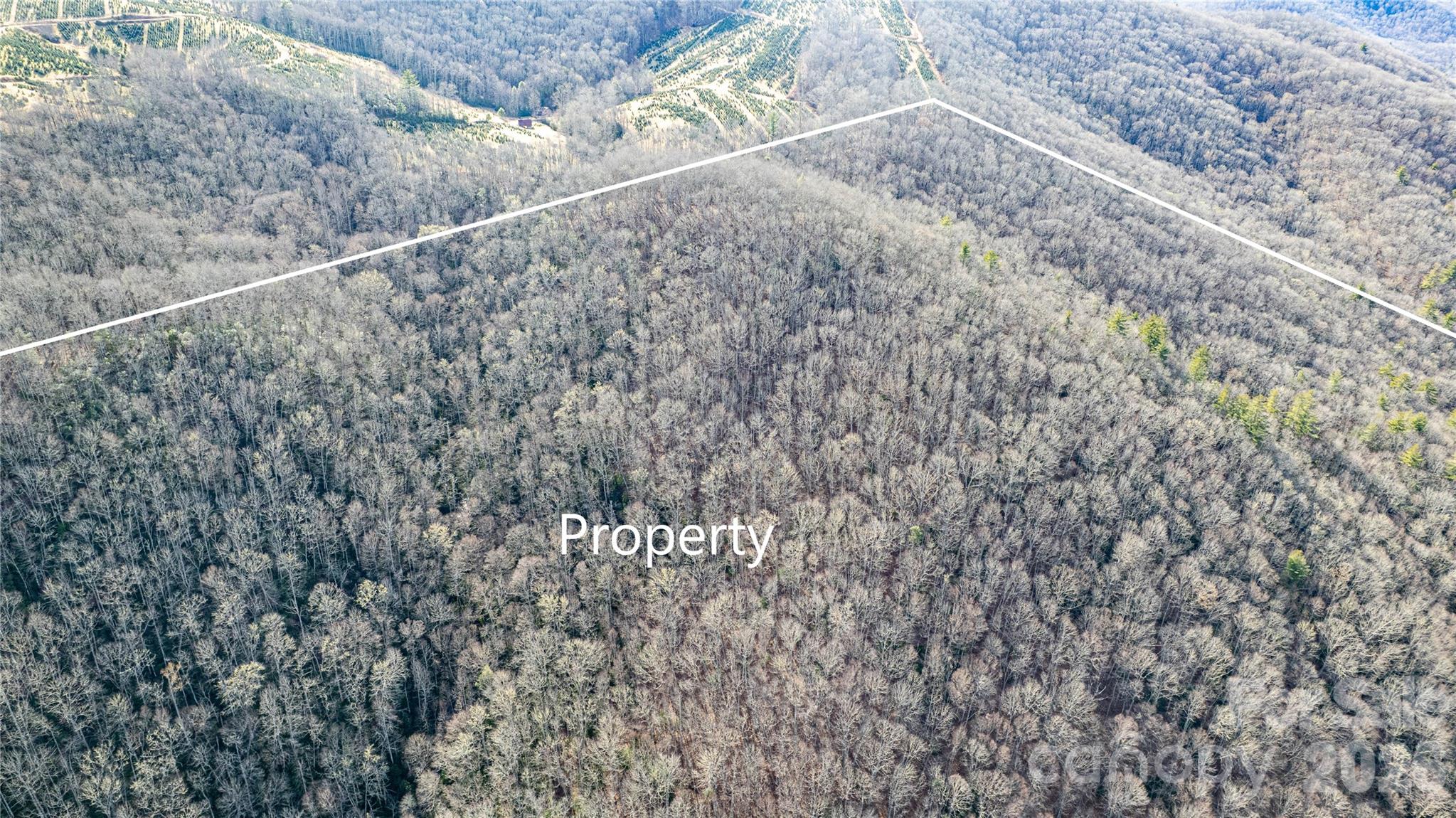 Acreage at TBD Tannassee Creek Road, Tuckasegee, photo 38 of 64