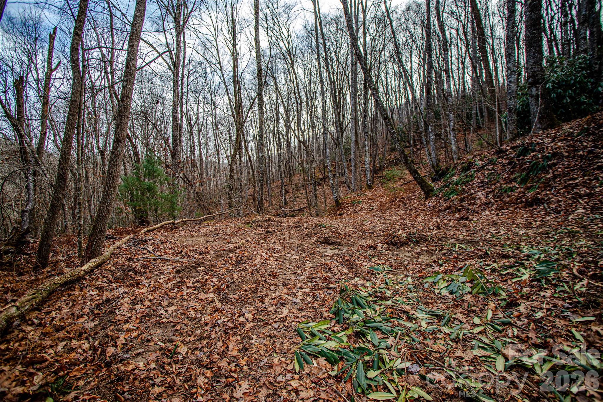 Acreage at TBD Tannassee Creek Road, Tuckasegee, photo 44 of 64