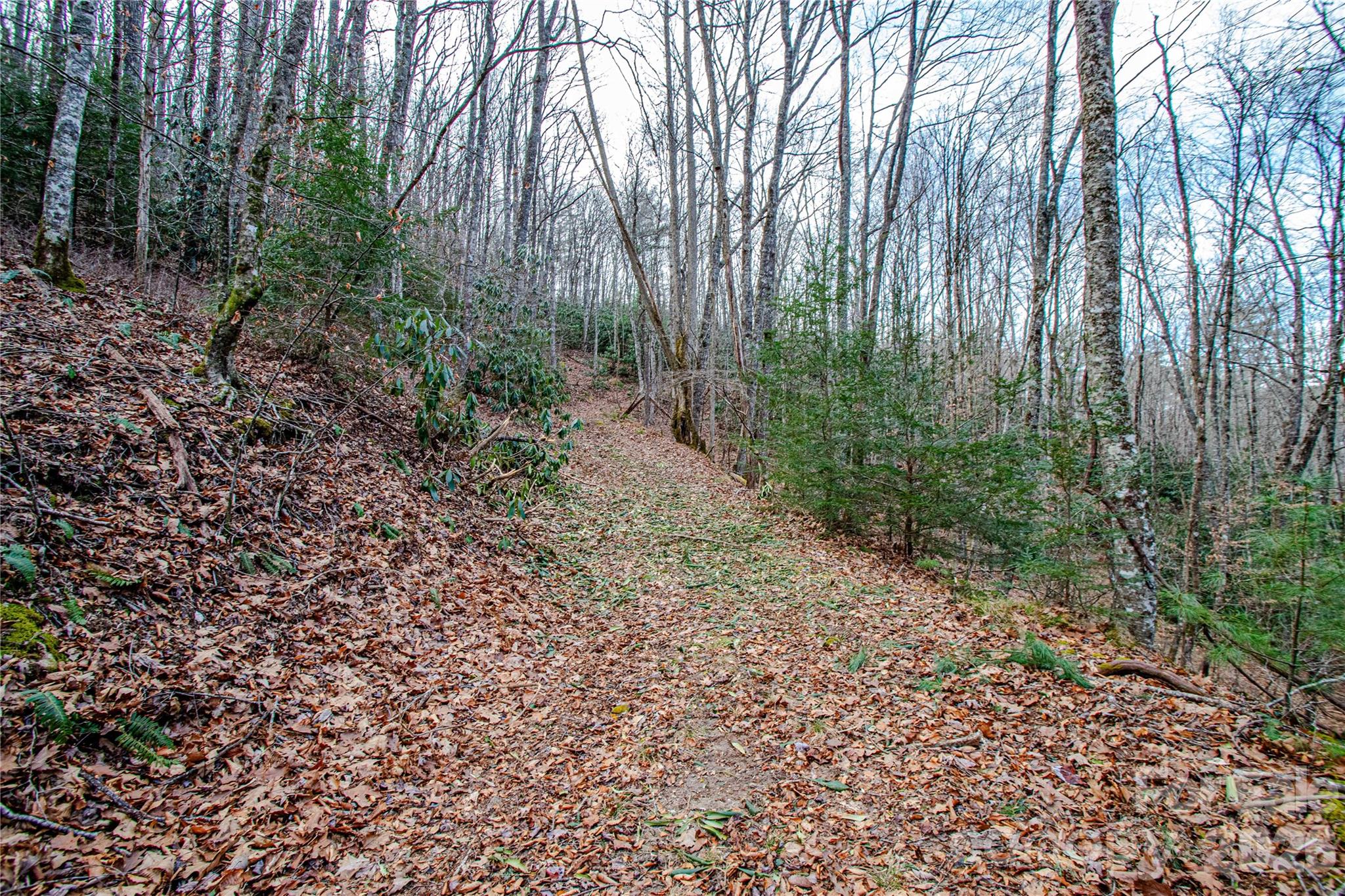 Acreage at TBD Tannassee Creek Road, Tuckasegee, photo 46 of 64