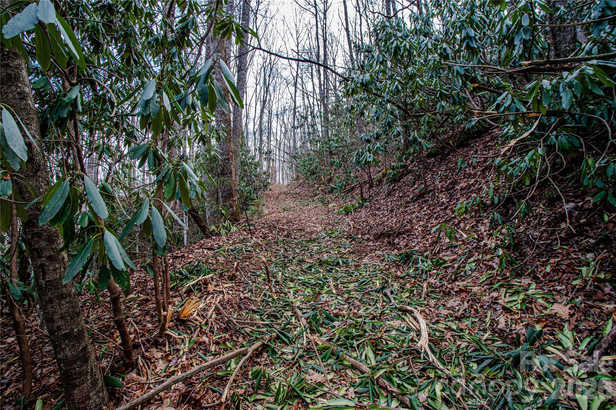 Acreage at TBD Tannassee Creek Road, Tuckasegee, photo 48 of 64
