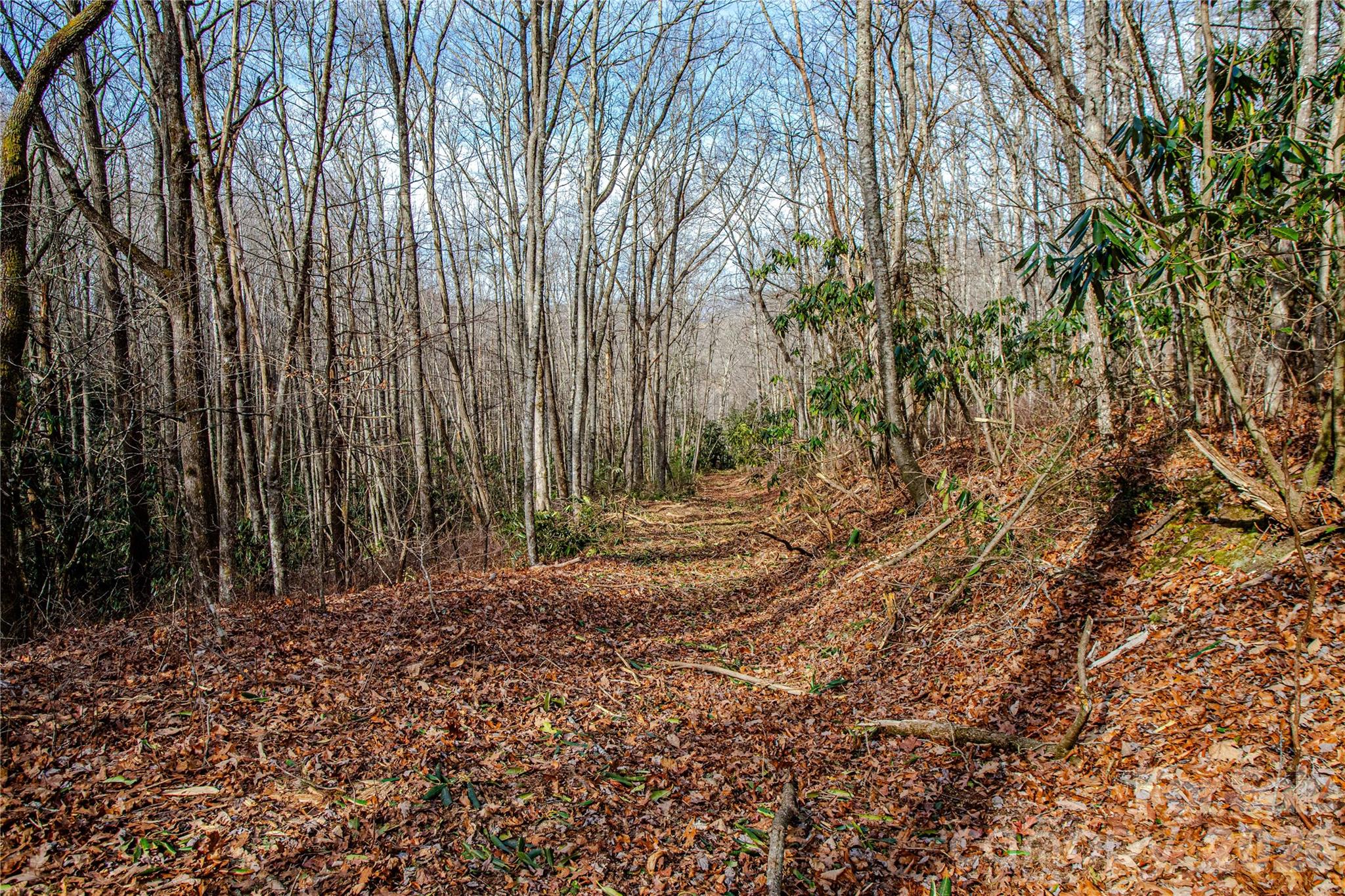 Acreage at TBD Tannassee Creek Road, Tuckasegee, photo 24 of 64
