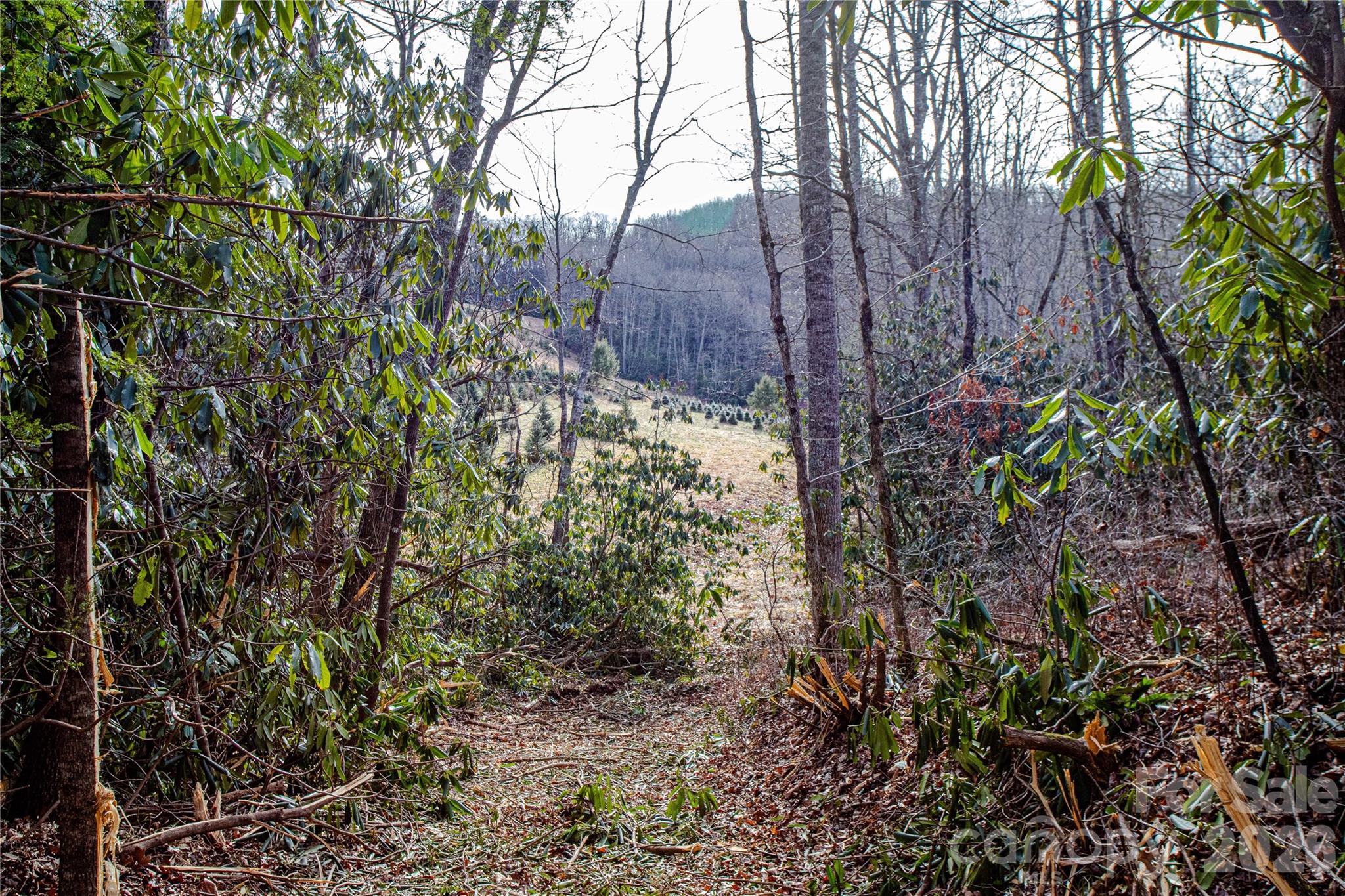 Acreage at TBD Tannassee Creek Road, Tuckasegee, photo 52 of 64