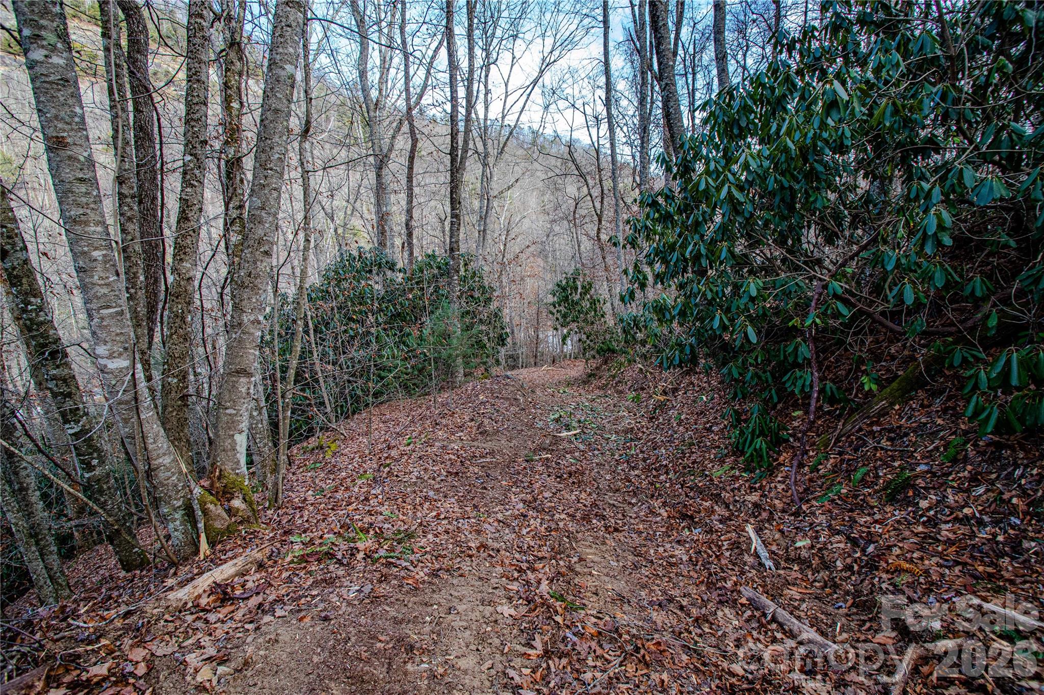 Acreage at TBD Tannassee Creek Road, Tuckasegee, photo 54 of 64
