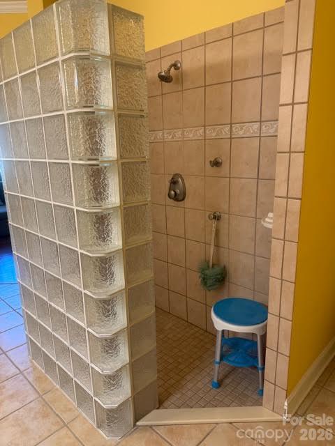 Walk-in Shower - 3511 Winter View Court, Charlotte