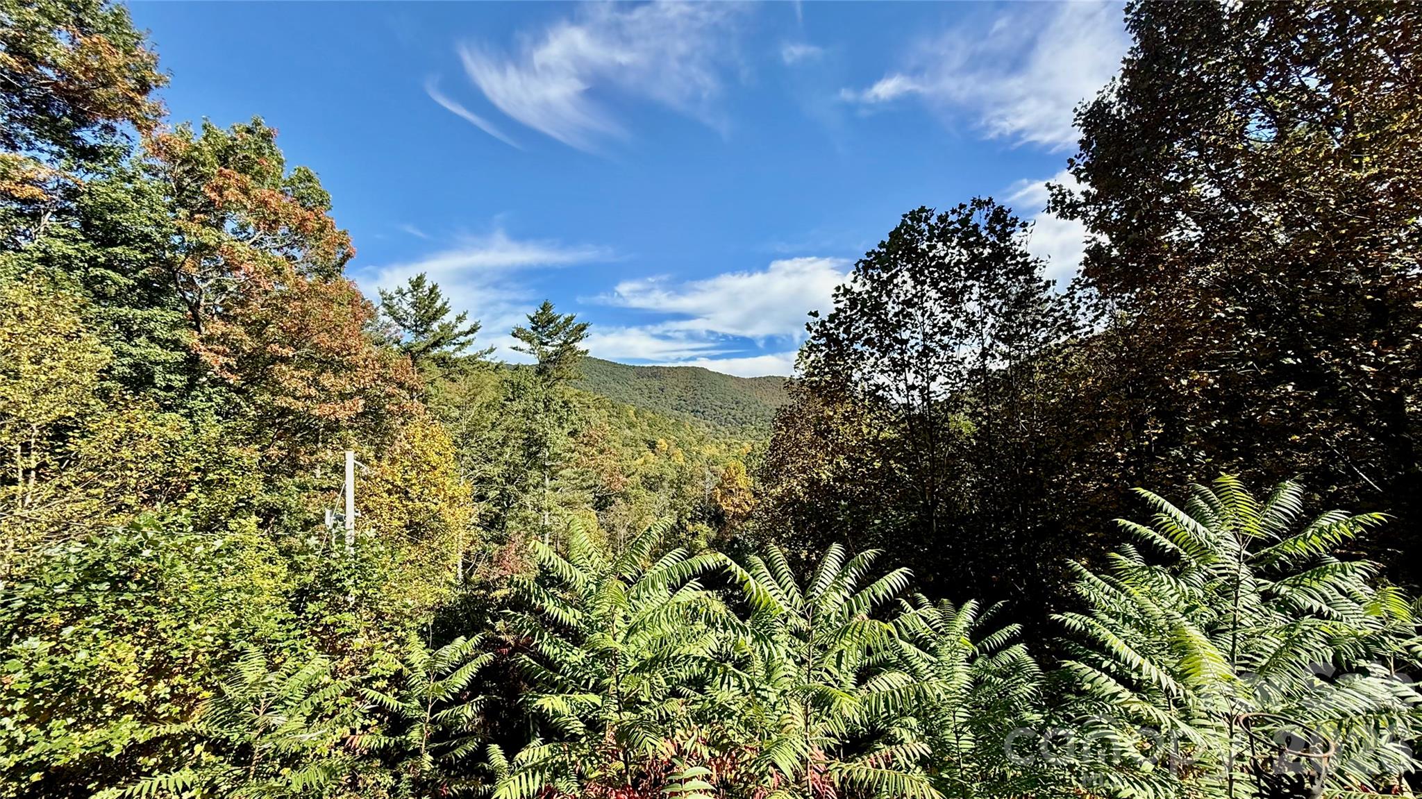 The view from the front deck - 898 Rock Creek Road, Burnsville
