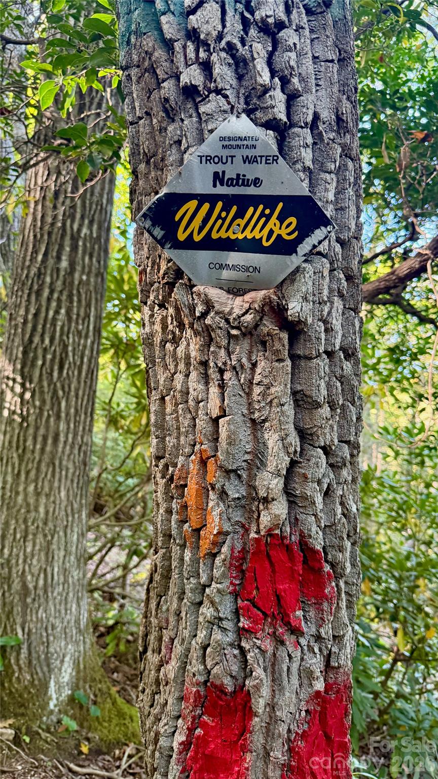 Marker along the trail to Mt Mitchell - 898 Rock Creek Road, Burnsville