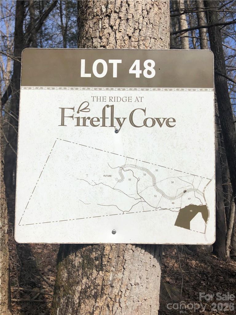 Highlighted parcel is Lot 48. - 711 Boys Camp Road, Lake Lure
