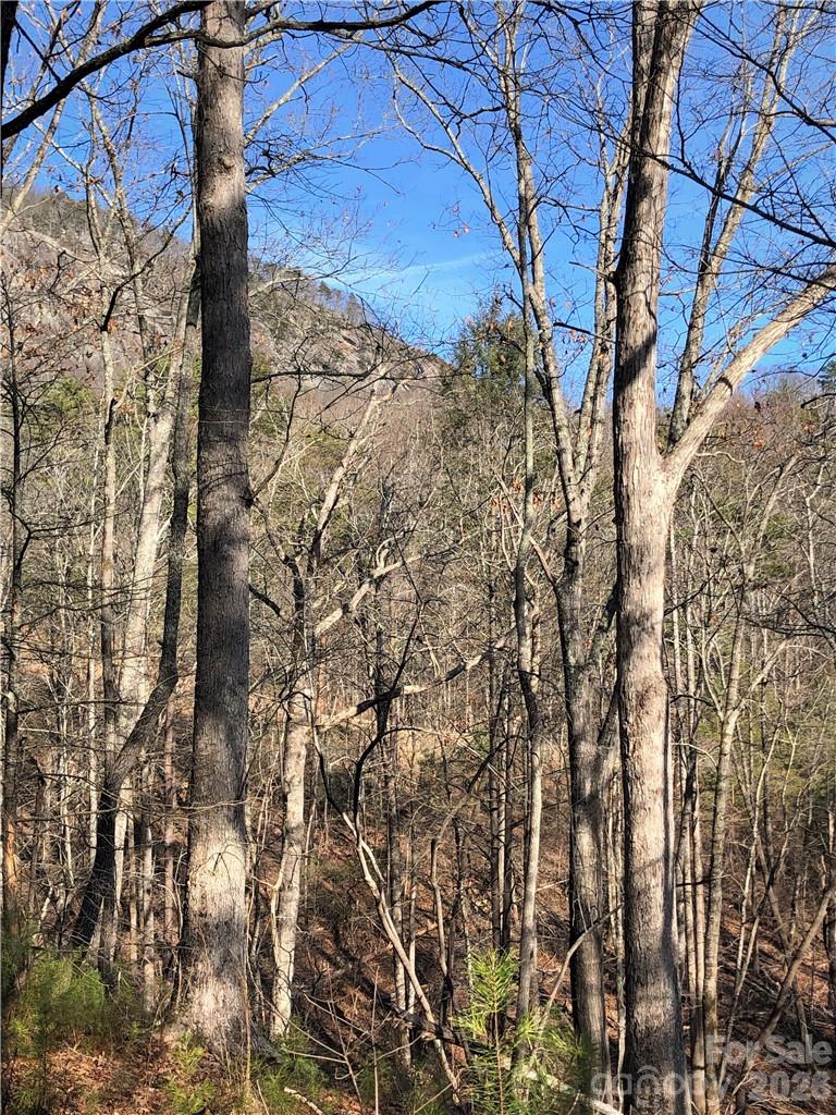 Eastern View - winter - 711 Boys Camp Road, Lake Lure