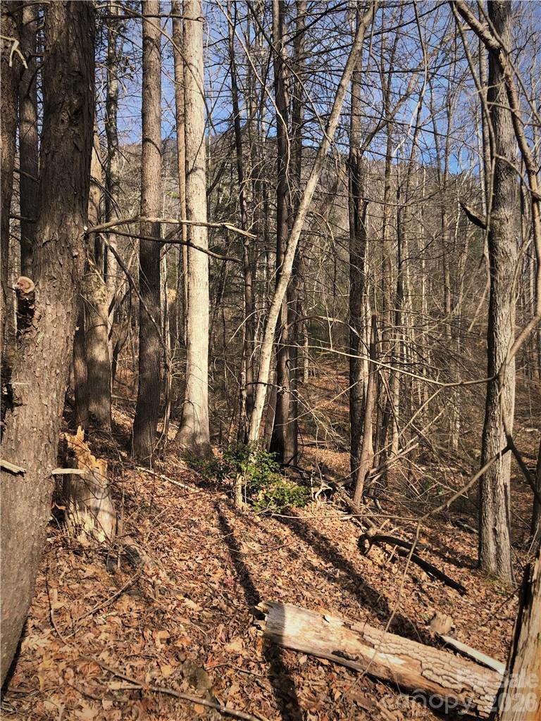 NE View - winter - 711 Boys Camp Road, Lake Lure