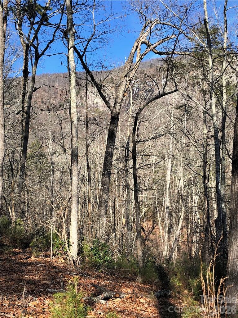Northern view - winter - 711 Boys Camp Road, Lake Lure