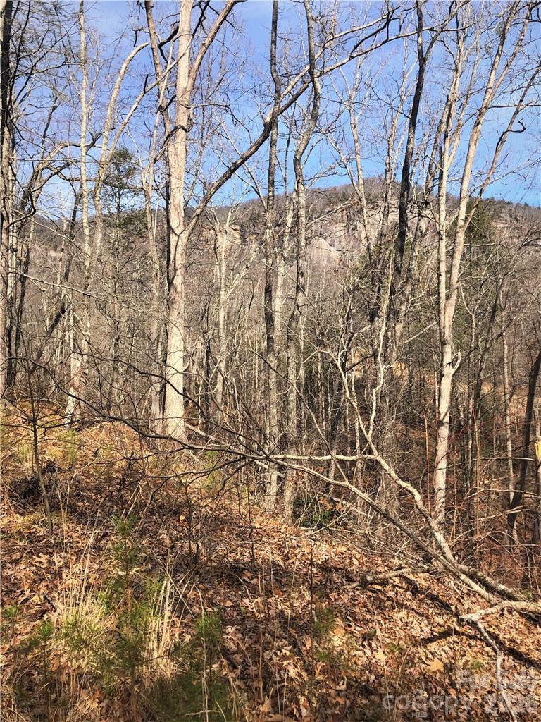 Lot at 711 Boys Camp Road, Lake Lure, photo 8 of 29