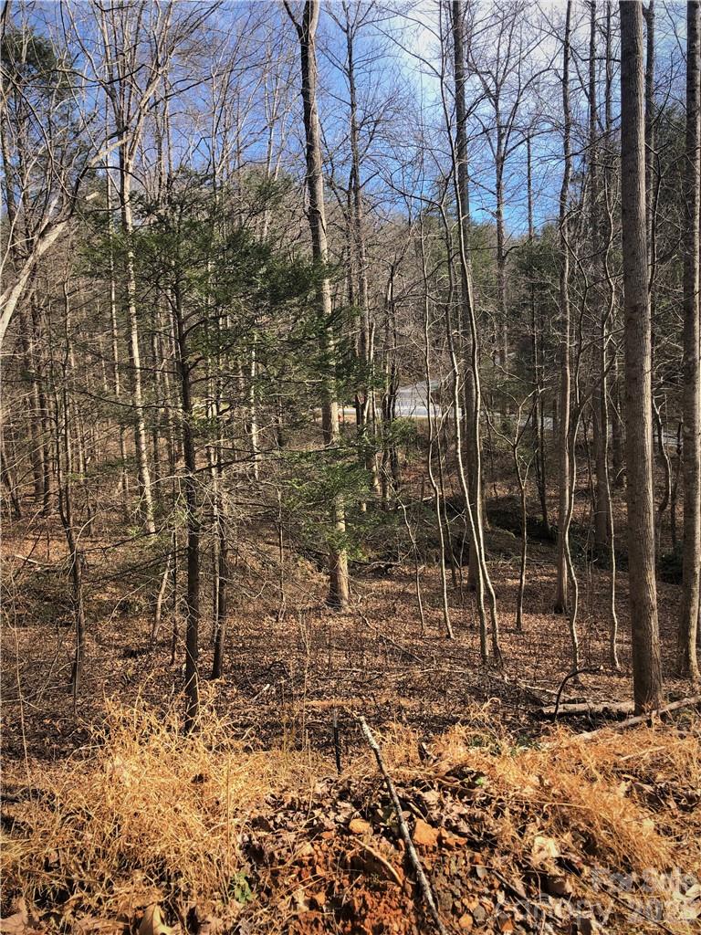 SE View - winter - 711 Boys Camp Road, Lake Lure