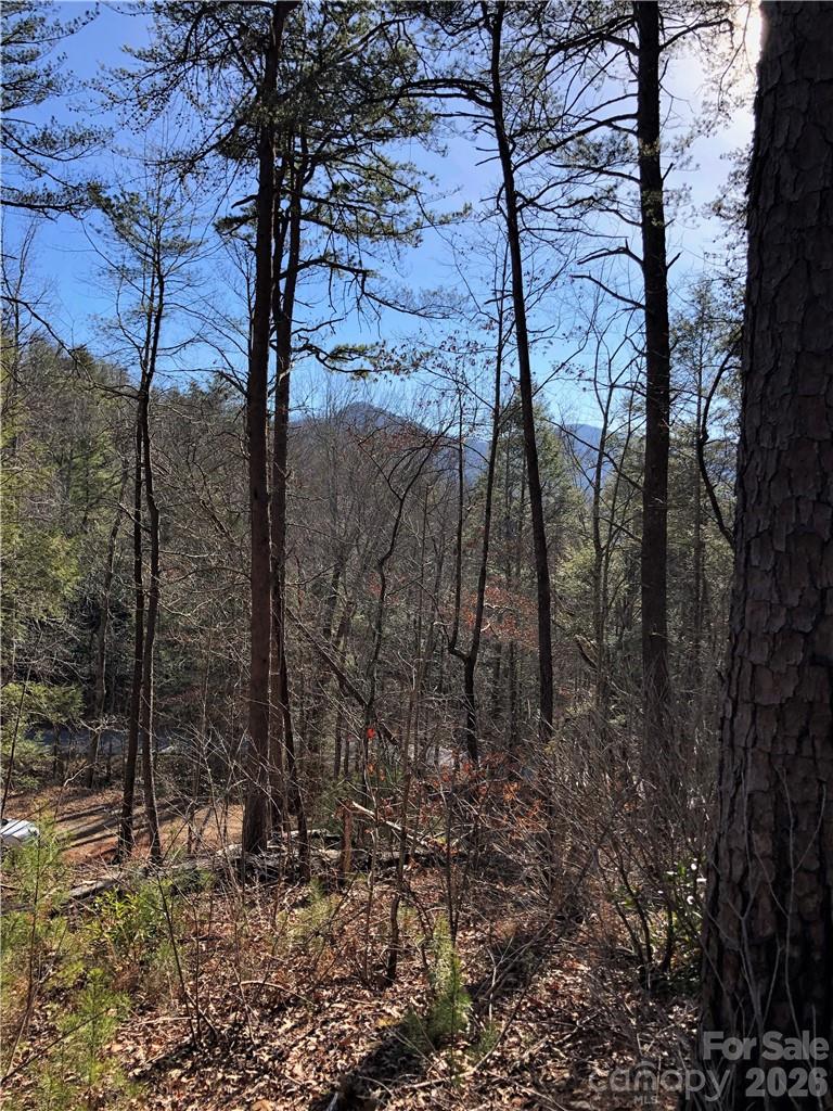 Southern view across Boys Camp Rd. - 711 Boys Camp Road, Lake Lure
