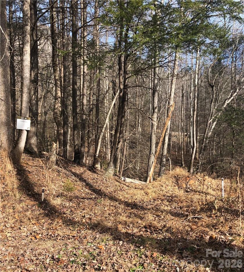 South edge of property for lot access - 711 Boys Camp Road, Lake Lure