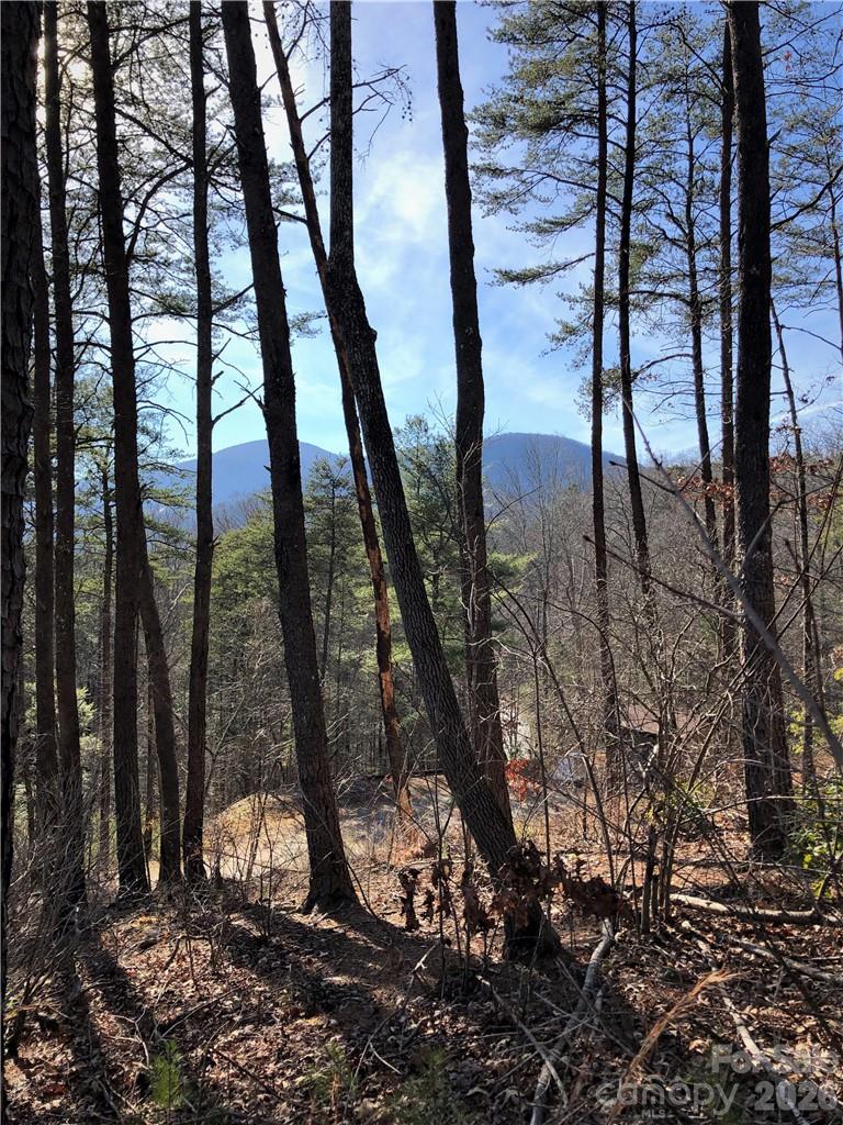 Winter View towards Chimney Rock - 711 Boys Camp Road, Lake Lure