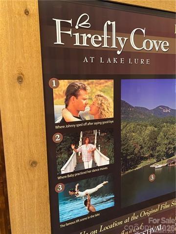 Lot at 711 Boys Camp Road, Lake Lure, photo 26 of 29