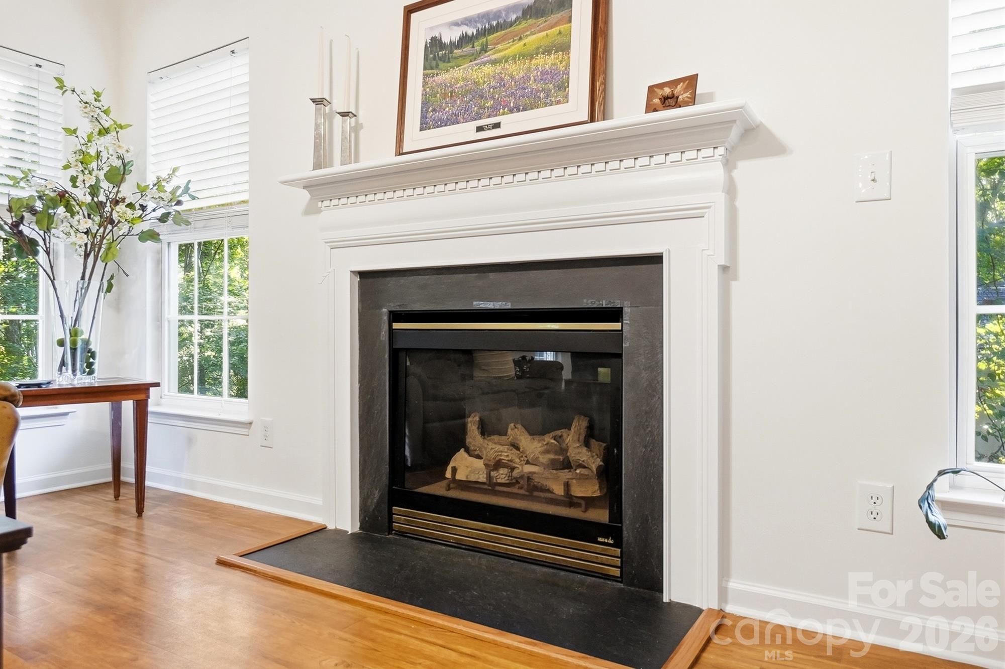 Gas Fireplace - 2100 Pineapple Court, Matthews