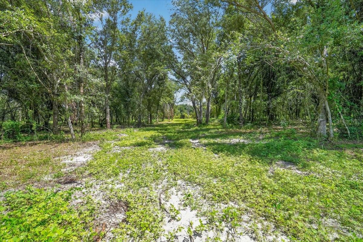 Land at VERNA BETHANY RD, MYAKKA CITY, photo 8 of 9
