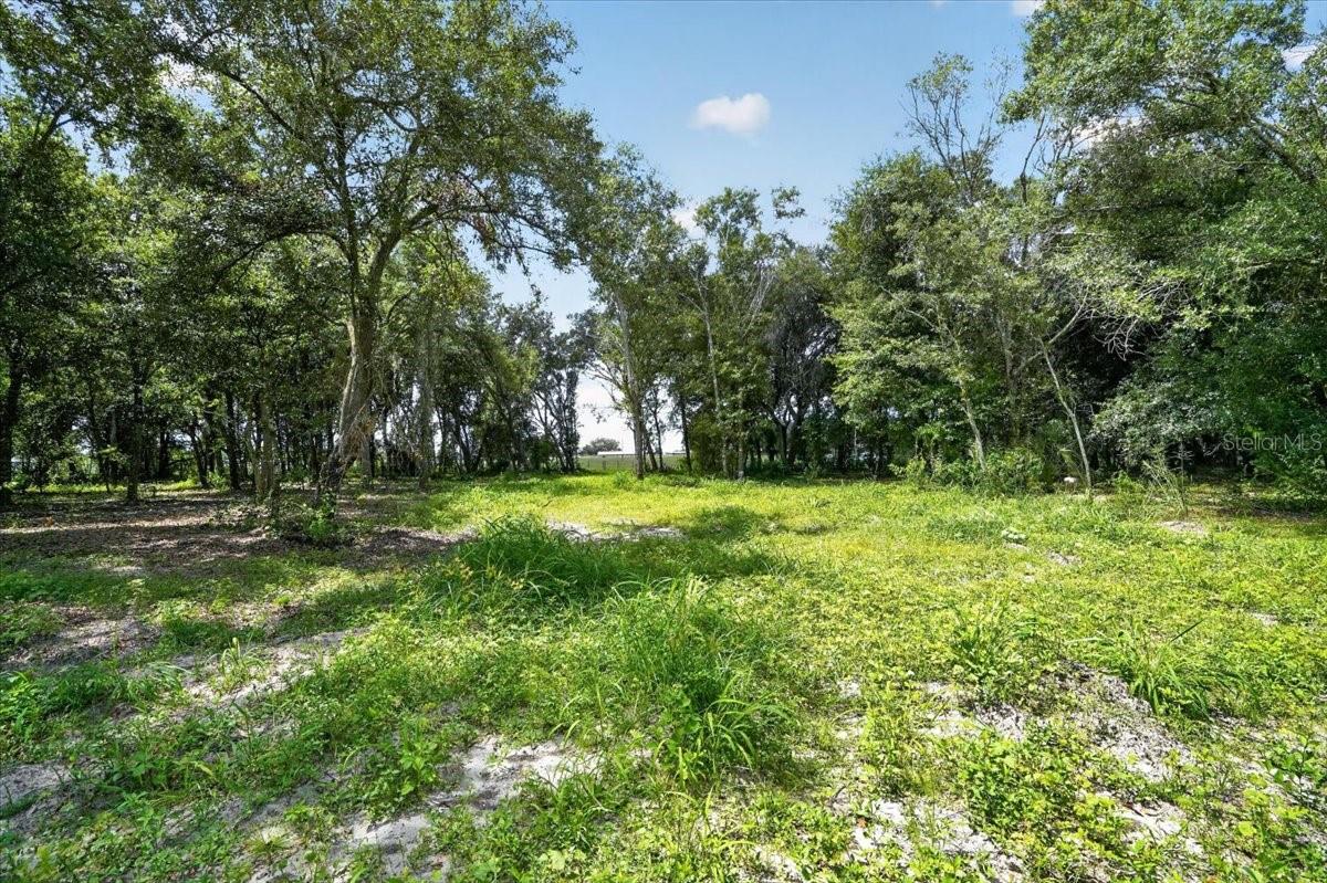 Land at VERNA BETHANY RD, MYAKKA CITY, photo 9 of 9