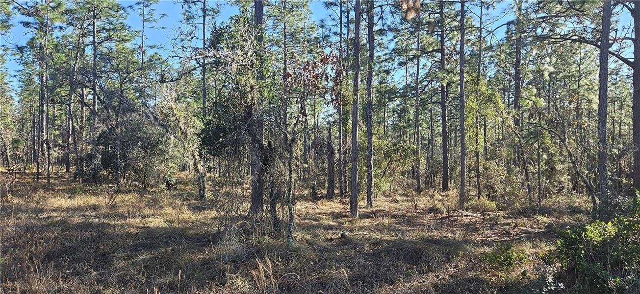 Land at Lot 13 NW Water Oak AVE, DUNNELLON FL 34431