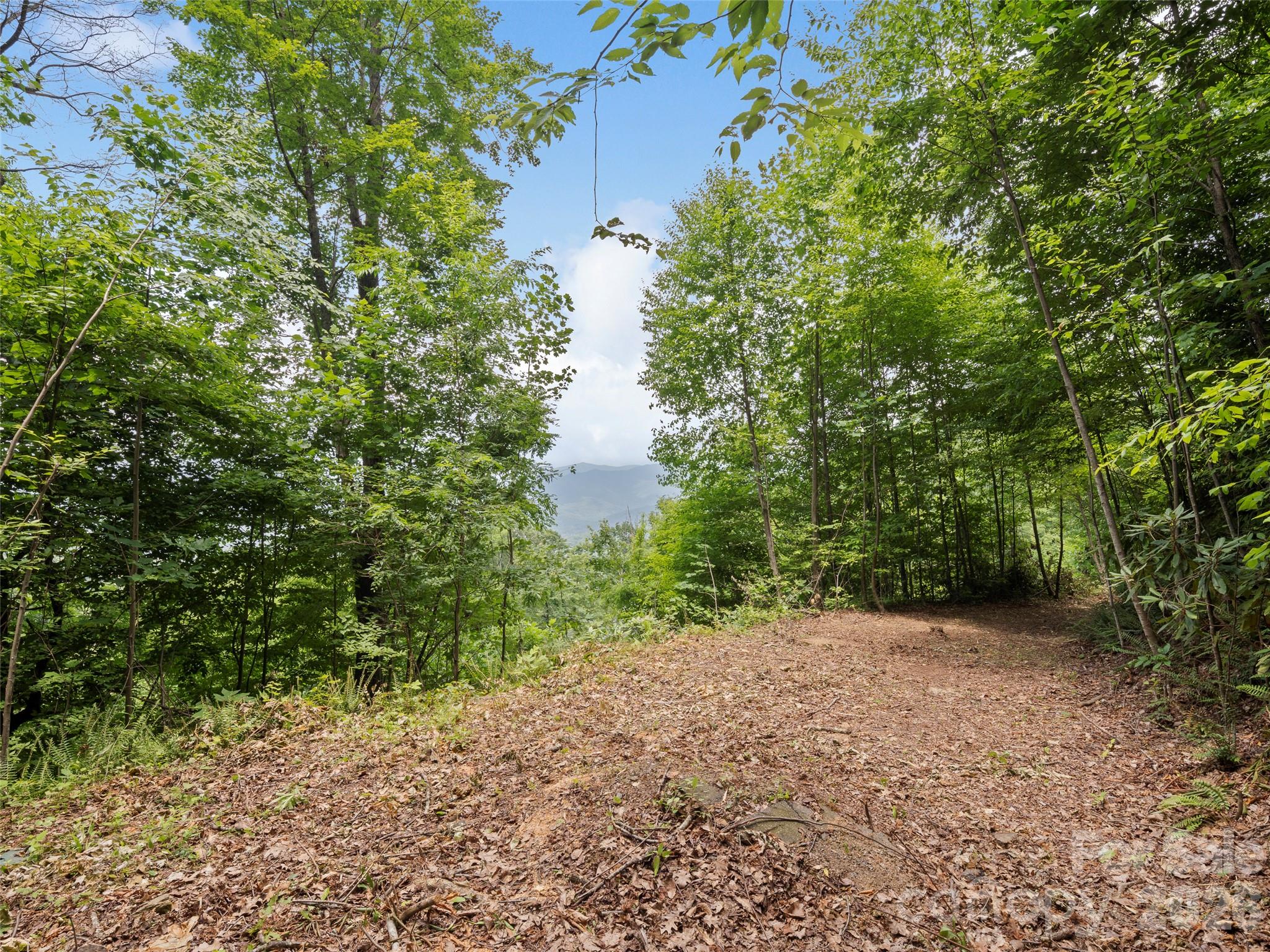 Lot at 99 Settings Boulevard, Black Mountain, photo 9 of 18