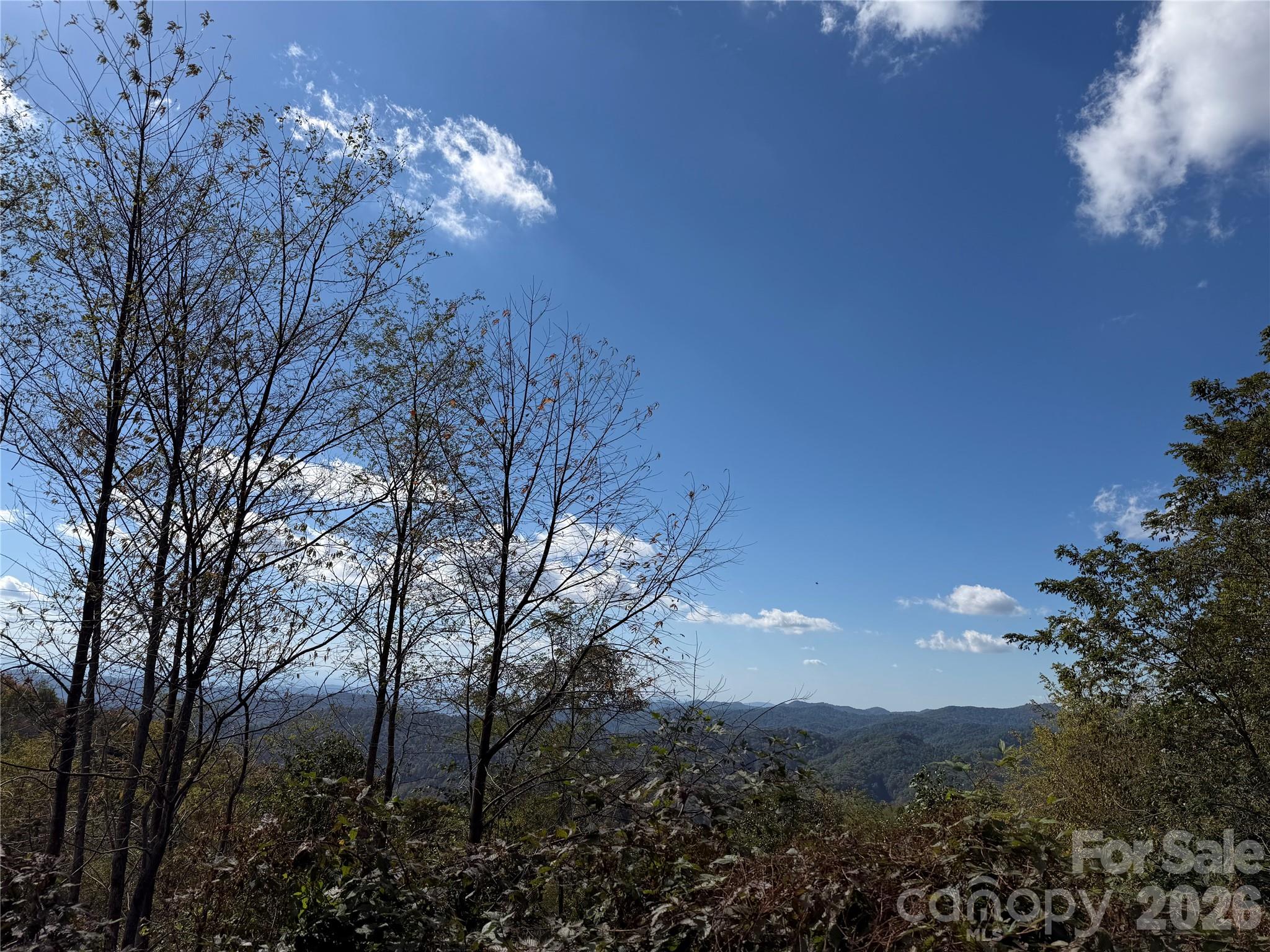 Lot at 2 Ridge Top Loop, Mars Hill, photo 5 of 7