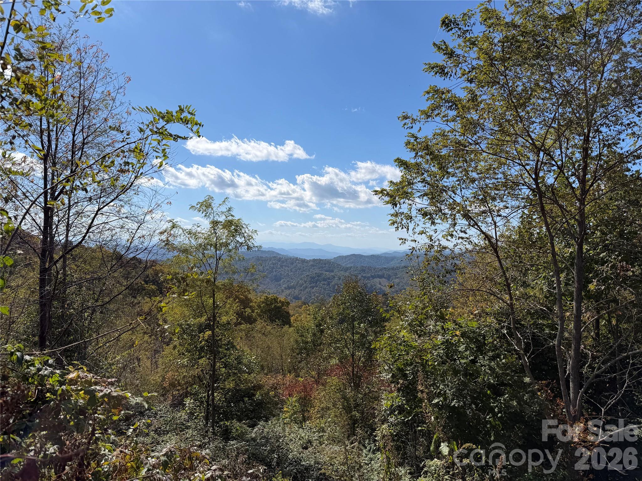 Lot at 2 Ridge Top Loop, Mars Hill, photo 6 of 7