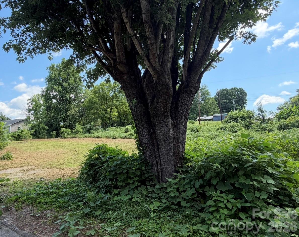 Lot at 12 Alabama Avenue, Marion, photo 4 of 11