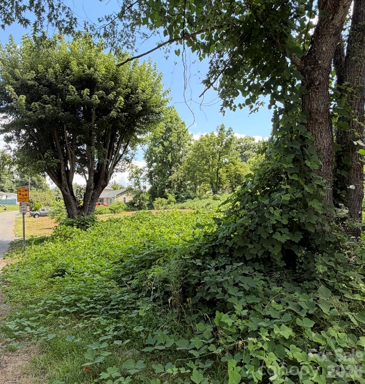 Lot at 12 Alabama Avenue, Marion, photo 6 of 11