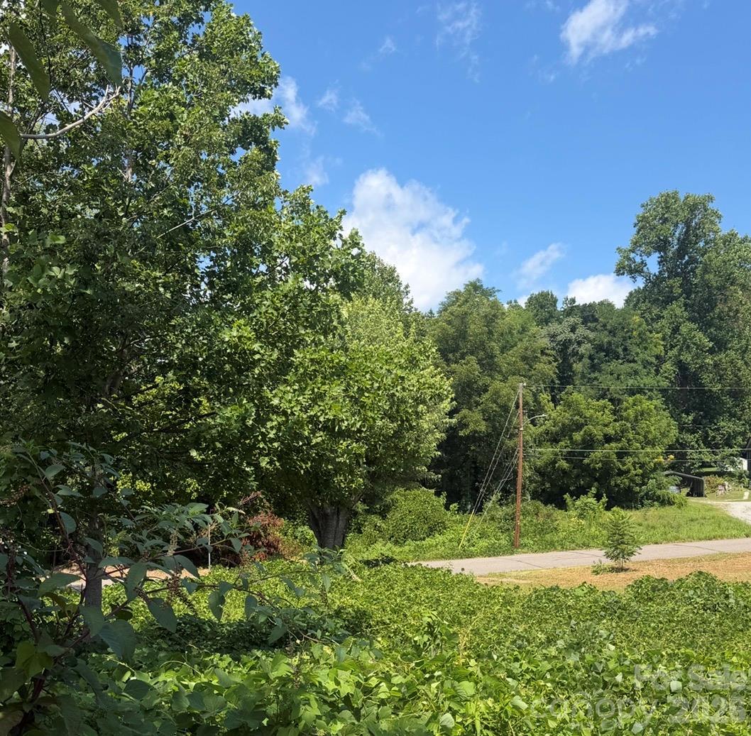 Lot at 12 Alabama Avenue, Marion, photo 9 of 11