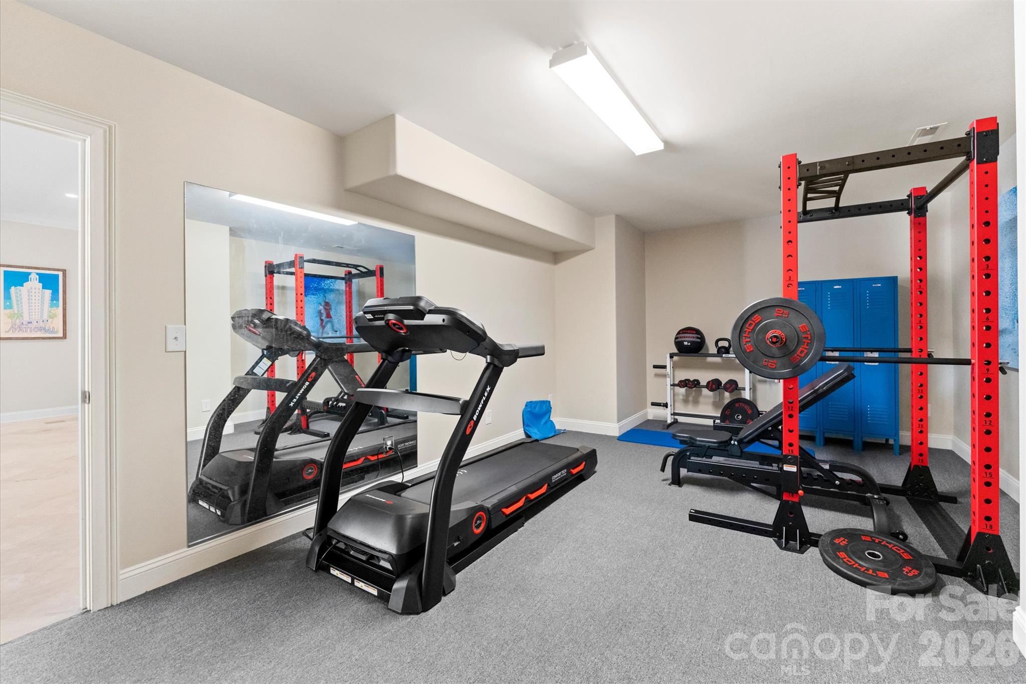 Home Gym - 4552 Sawgrass Court, Denver