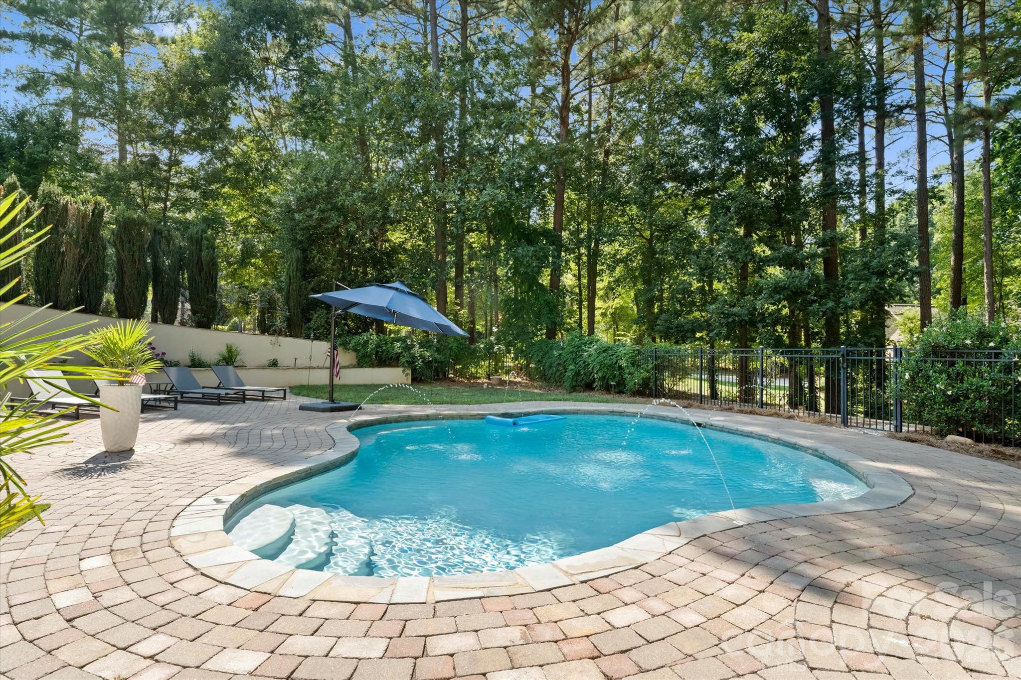 Private pool - 4552 Sawgrass Court, Denver